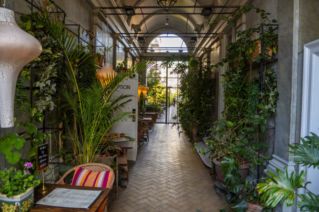 Hotel hall with plants and Nordic design at Babette Guldsmeden in Copenhagen