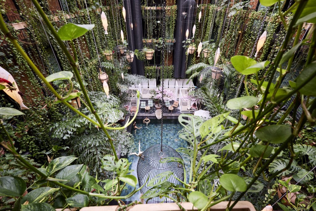 Overview of the Junglefish Pool at Manon Les Suites Hotel in Copenhagen